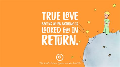 26++ Citations Le Petit Prince Rose