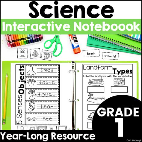 1st Grade Science Interactive Notebook - Mrs. B’s Beehive