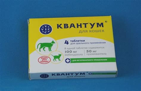 Квантум для кошек: инструкция по применению таблеток, отзывы