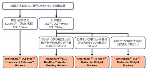 Image result for Bivariate Model Example
