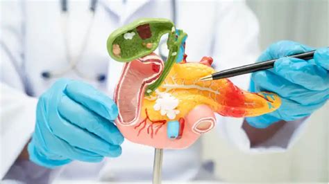 What is the Cost of Gall Bladder Stone Surgery in Noida?