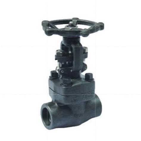 Steel Gate Valve - Drop Forged Steel Gate Valve Manufacturer from Jalandhar