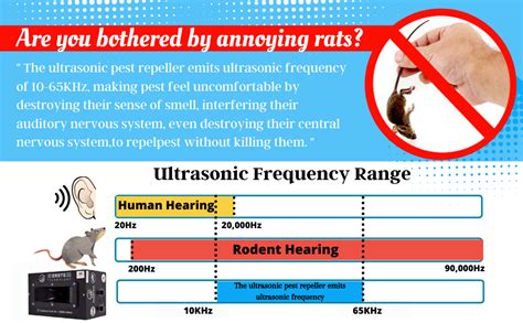 Rat Repellent Ultrasound Pest Control Device - Indoor and Outdoor ...