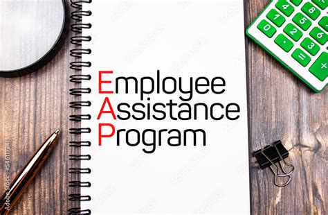 EAP Program Examples 的图像结果