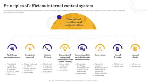 Internal Control System 的图像结果