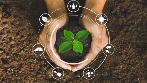 Image result for CSS Cluster Based Exam