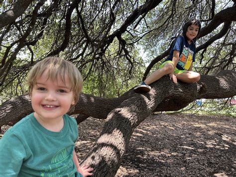 Northeast Pediatric Associates Pa