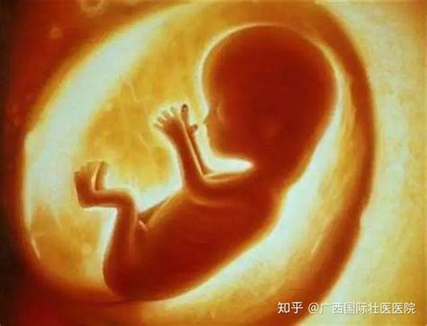 怀孕生孩子那些事之“胎停”：年龄越大胎停的概率越高_腾讯新闻