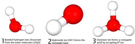 Image result for Acid-Base Reaction