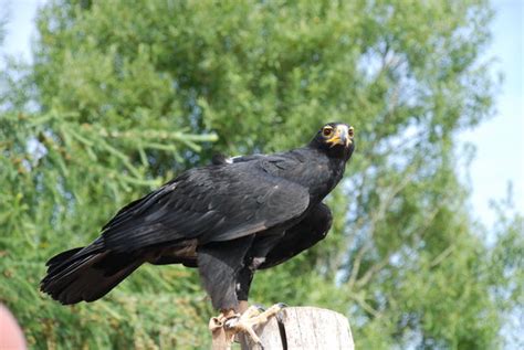 THE BEST Restaurants in Jutland (Updated January 2026)