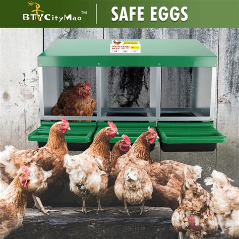 Amazon Chicken Nesting Boxes at Amelie Woolley blog