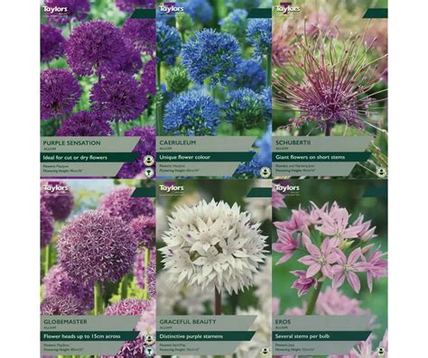 Spring Bulb Planting Guide 的图像结果