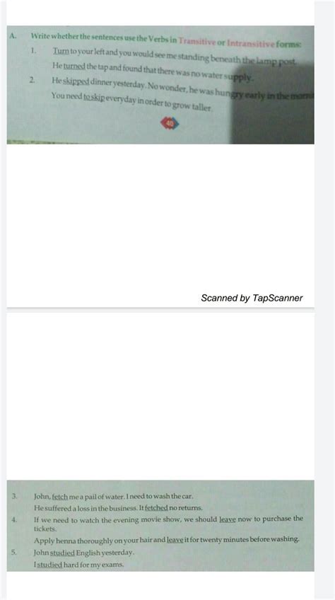 Write whether the sentences use the Verbs in Transitive or Intransitive ...