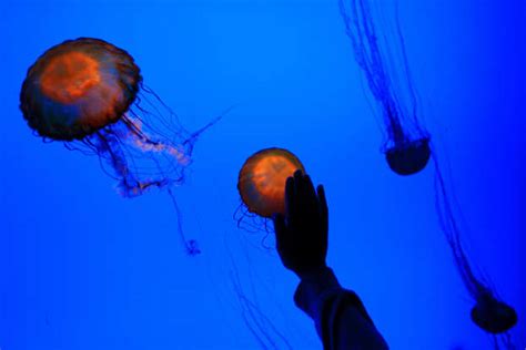 TV shows you didn't know were filmed in Canada