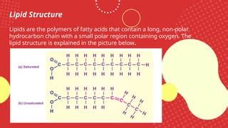 Petalbo, Elvin E. (LIPIDS Powerpoint PPT | PPT