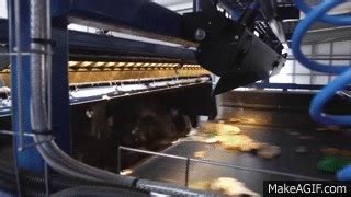 Image result for Sorting Machine GIF