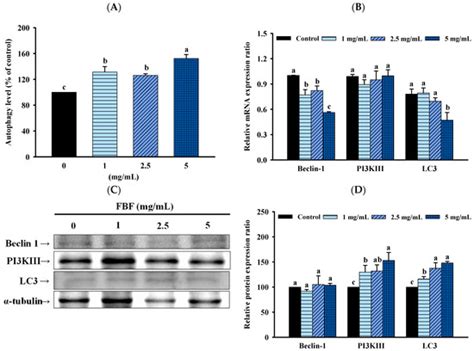 Exploring the Anti-Cancer Effects of Fish Bone Fermented Using Monascus ...
