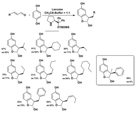 Biocatalysis with Laccases: An Updated Overview
