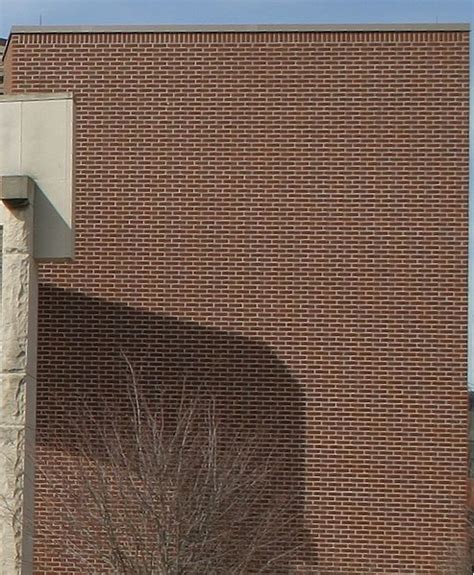 Image result for Aliasing in Computer Graphics Example