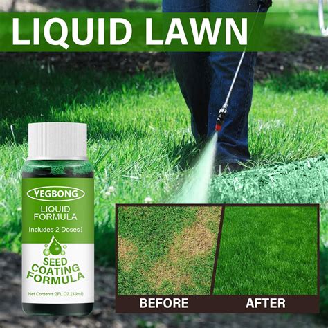 Spray Grass Seed On Lawn at John Nail blog