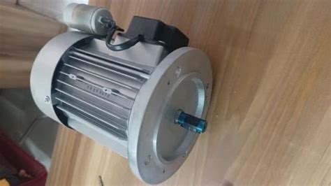 Induction Motor - 40 Watt AC Induction Gear Motor Service Provider from ...