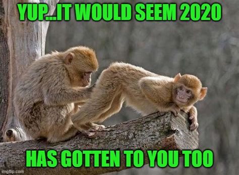 Image result for Text Generation Using Rnn