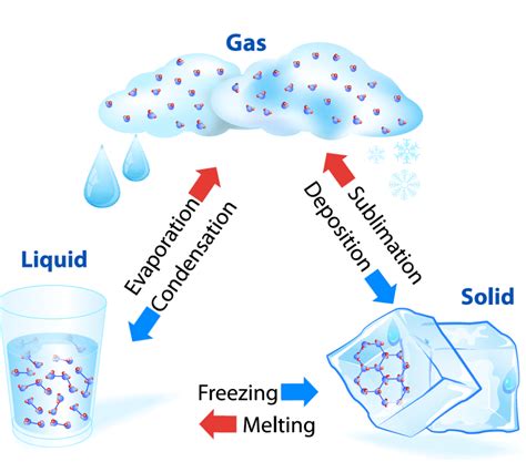 Image result for Matter Phase Changes