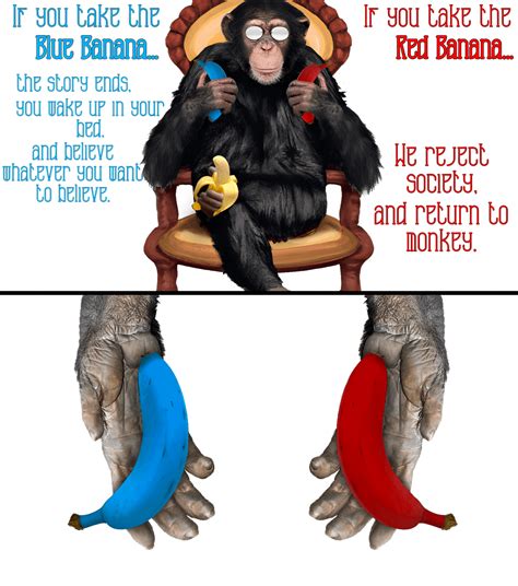 What will it be? : r/dankmemes