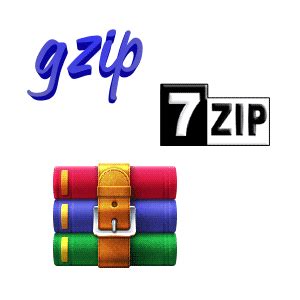 Image result for Windows 11 Download Compressed File