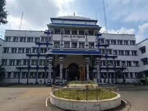 Poisonous Beetle Attack In Thiruvarur,விஷ வண்டு கடித்து வழக்கறிஞர் ...