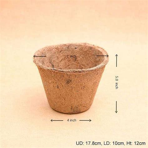 Buy Coir Planters online from Nurserylive at lowest price.