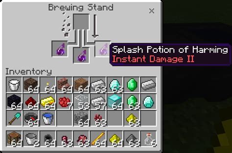 Image result for Minecraft Java Potions