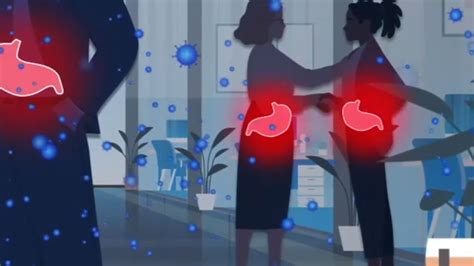 Can Dogs Pass Stomach Bugs To Humans