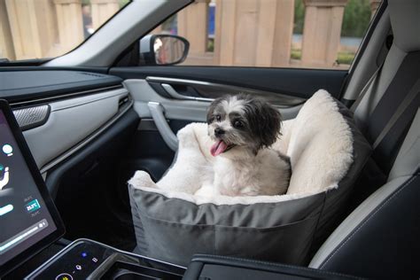 Best Dog Car Beds for Safe and Comfortable Travel - Ran When Parked