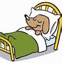 Image result for Cartoon Bunny Sleeping Time No Background