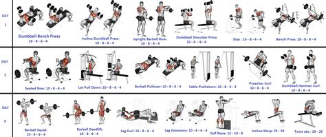 Bodybuilding Workouts 的图像结果