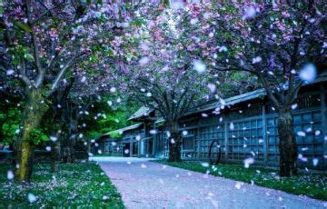 Beautiful 5 Days 4 Nights Loleygaon Tour Package | Kalimpong, Lava ...