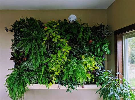 Diy Living Wall