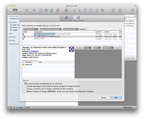 Image result for Source Tree Merge