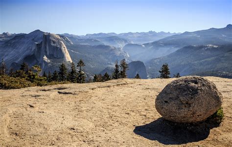 Image result for Sentinel Dome Tree