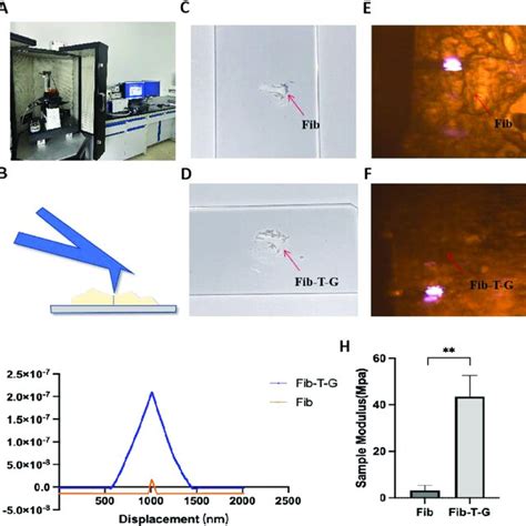 Image result for AFM Explained Microscope