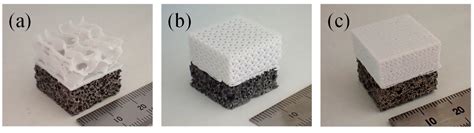 Fabrication and Compression Properties of Two-Layered Porous Structure ...