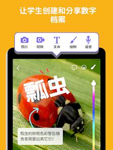 Dojo Kids 的图像结果