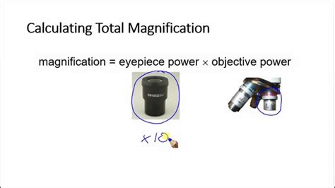 Image result for Magnification Calculation Chart