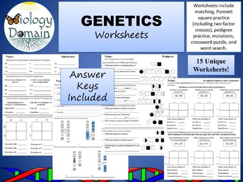 Genetics and Inheritance Worksheet 的图像结果