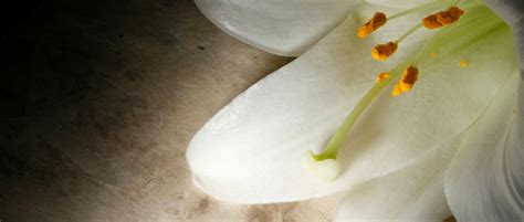 Bangor Daily News | Create story