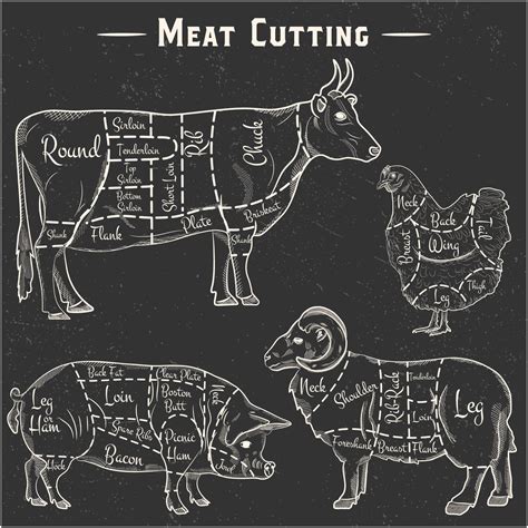 Animal meat cutting diagrams. Farm meat of cow, pig, lamb and chicken ...