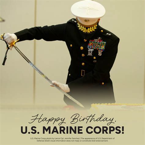 Marine Corps Birthday - Jennifer Sanalitro