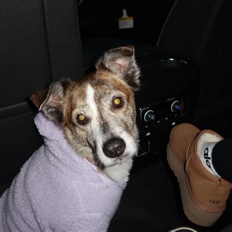 Yillian Marie Atkinson Velez | Brick 🧱 | Instagram