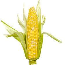 corn